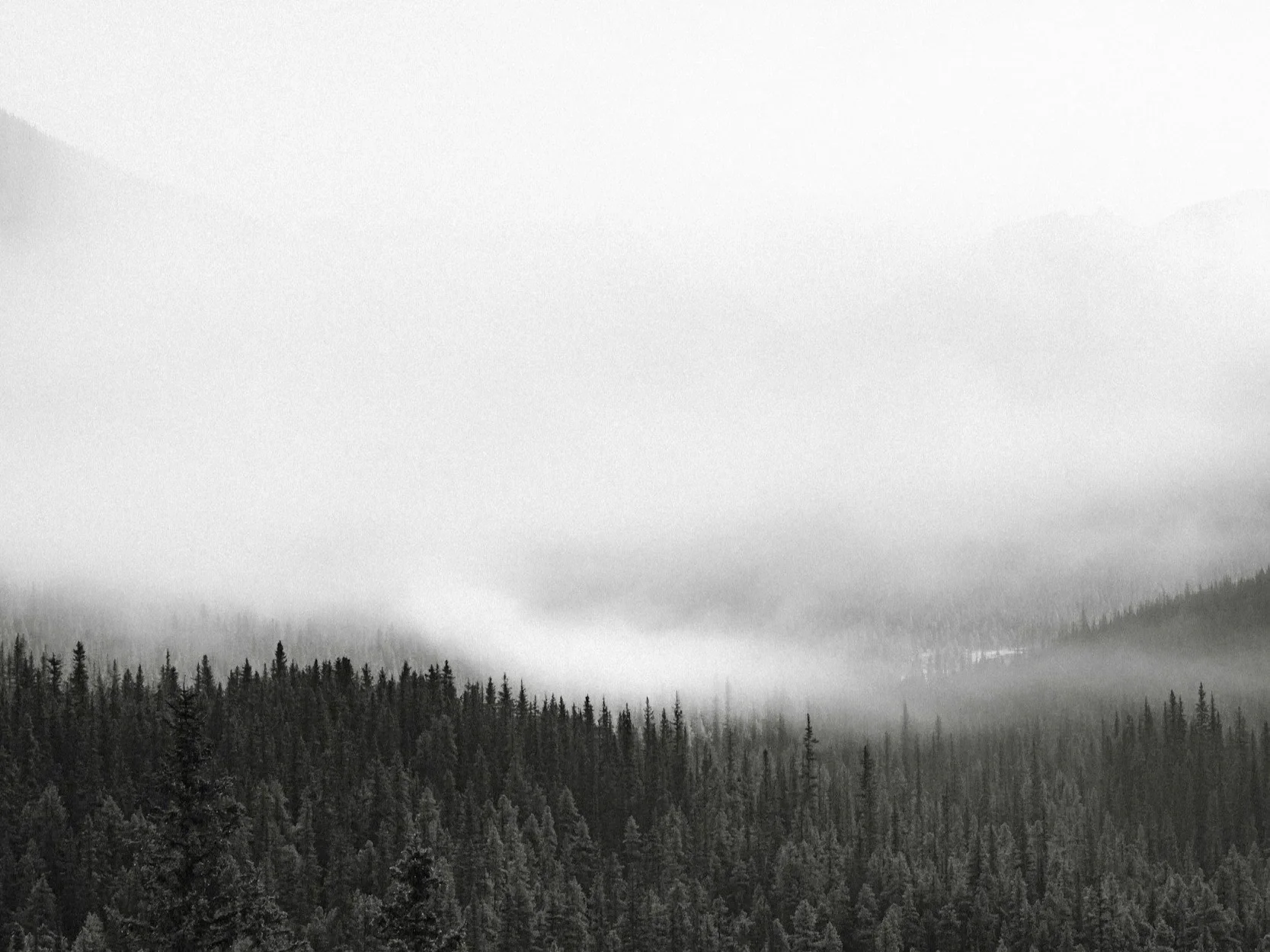 My Trauma Isn’t “Bad Enough” for Therapy? Why Your Childhood Experiences Still Matter