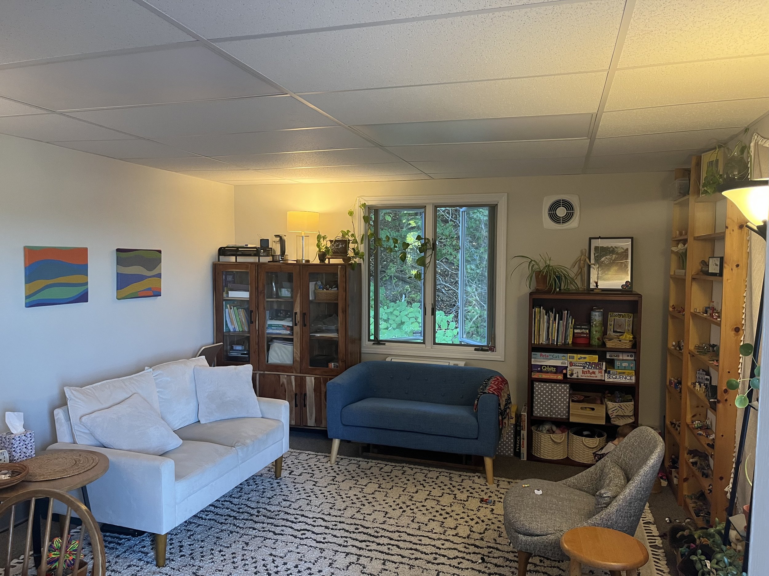 Living room with white sofa, blue loveseat, gray armchair, patterned rug, bookshelves, window, and various decorative items.