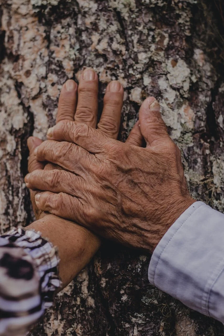 Close-up of two hands, one older and one younger, touching a tree trunk.
