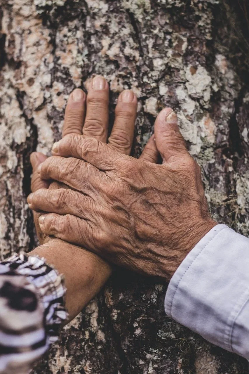 Two hands, one elderly and one younger, placed on a tree trunk, symbolizing connection or support.