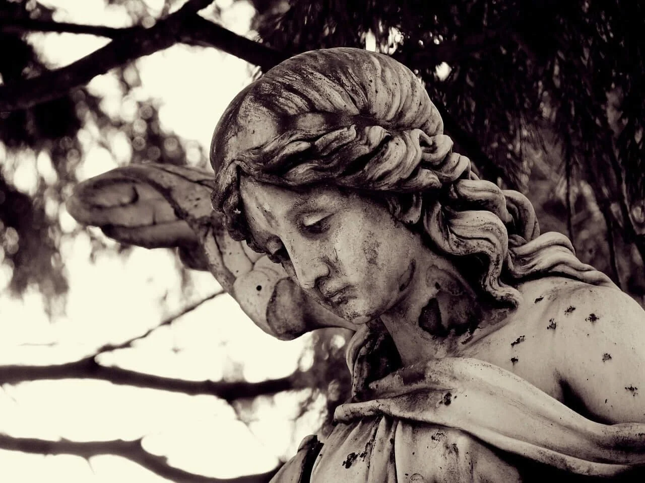 Close-up of a weathered stone statue of an angel with detailed hair and wings, set against a blurred background of trees.