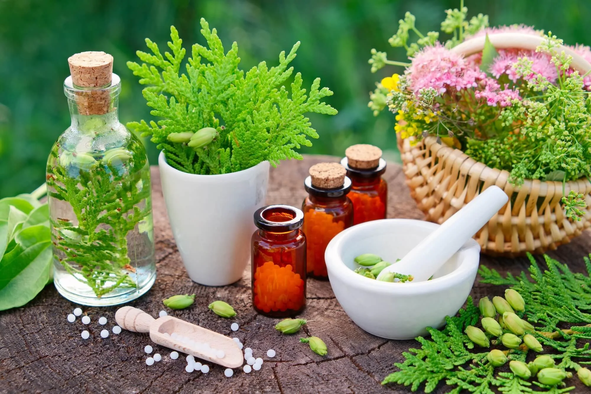 Herbal medicine ingredients, including bottles of supplements, mortar and pestle, potted herbs, and a basket of flowers on a wooden surface in an outdoor setting.