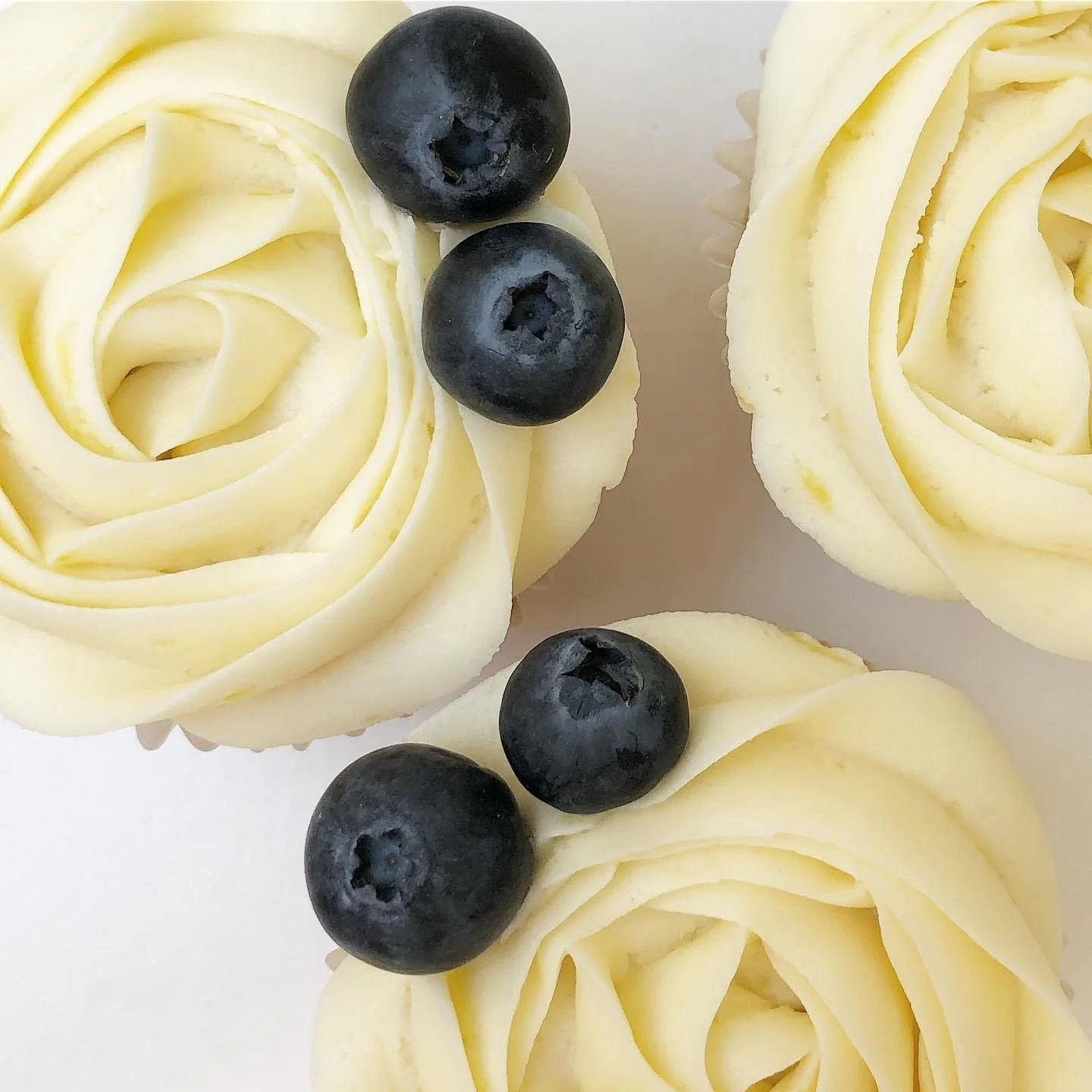 Wholesale Cupcakes