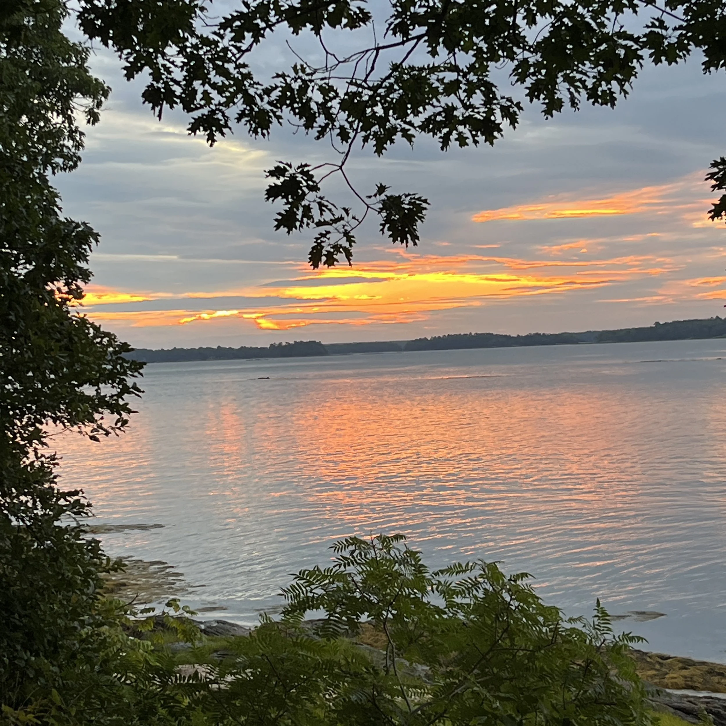 Feeling overwhelmed and Stuck? Start with Your Nervous System