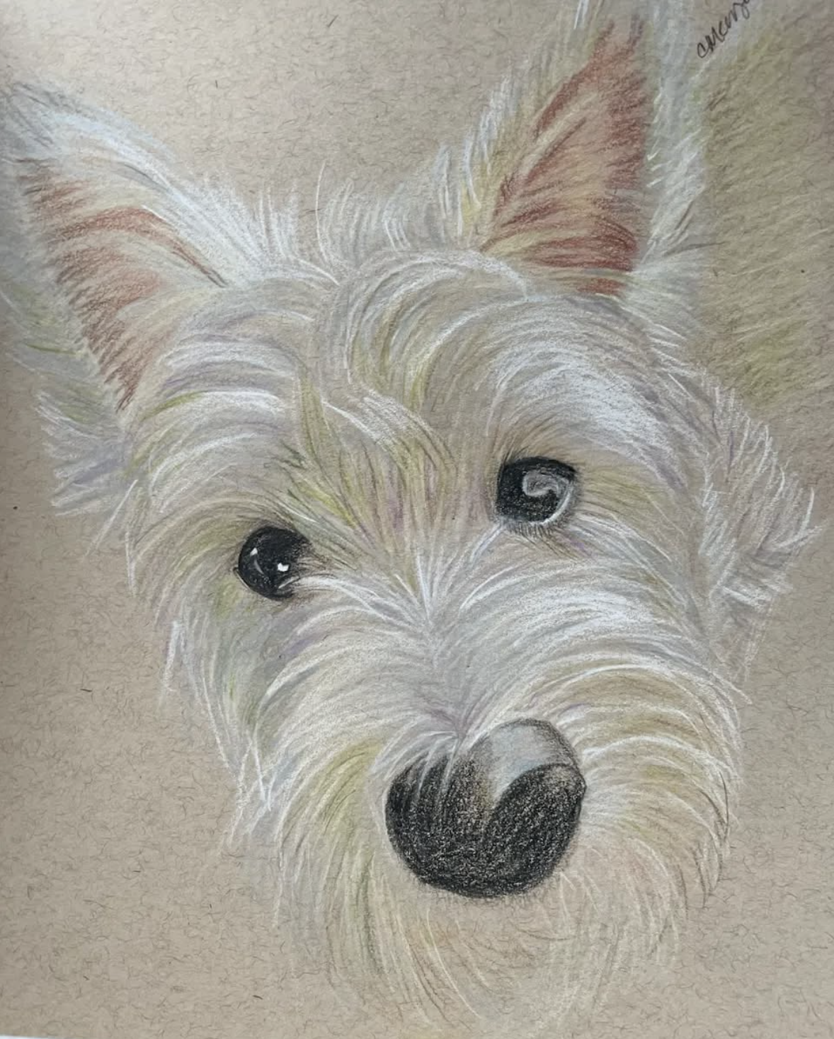 Colored Pencil on Recycled Paper