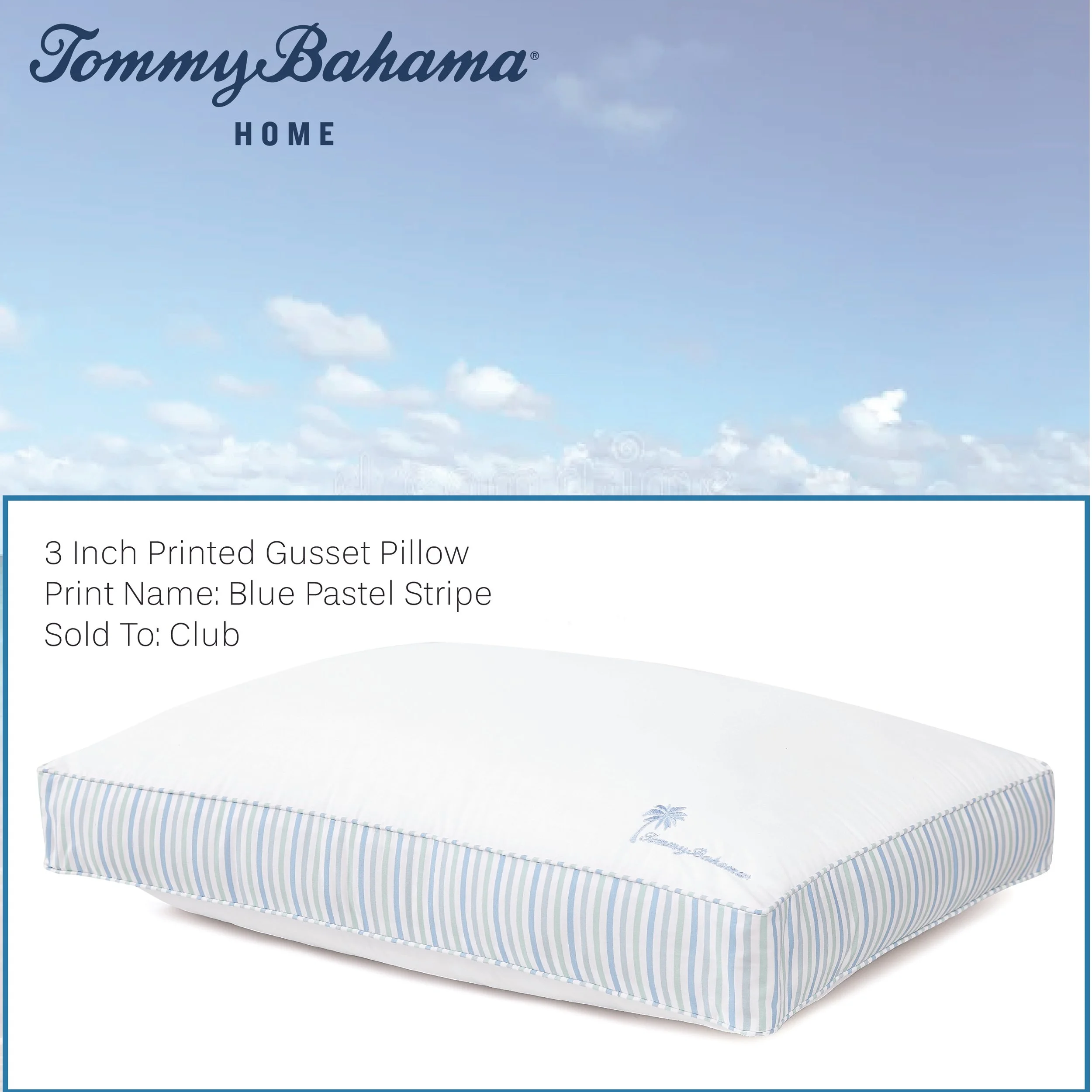 Portfolio Pages_TB Blue Pastel Stripe Colossal PI.jpg