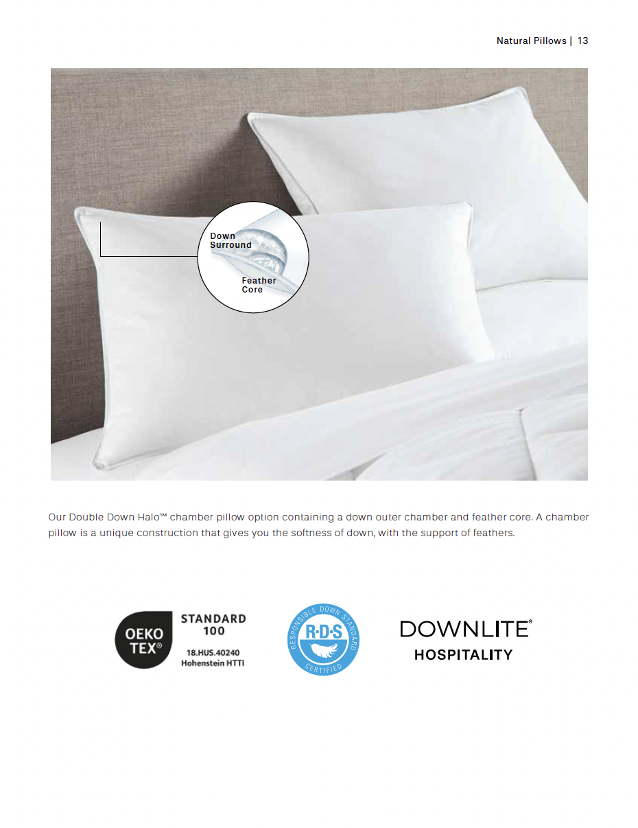 Catalogue Pillow 2.png