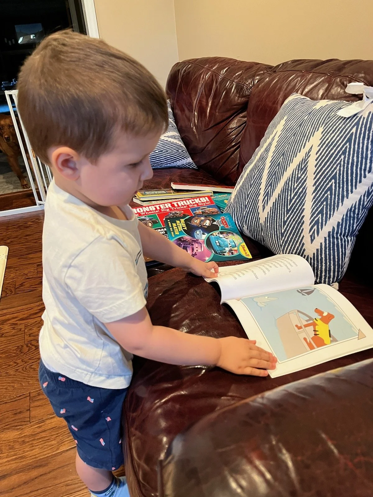 Customer Experience Image, 11/2025