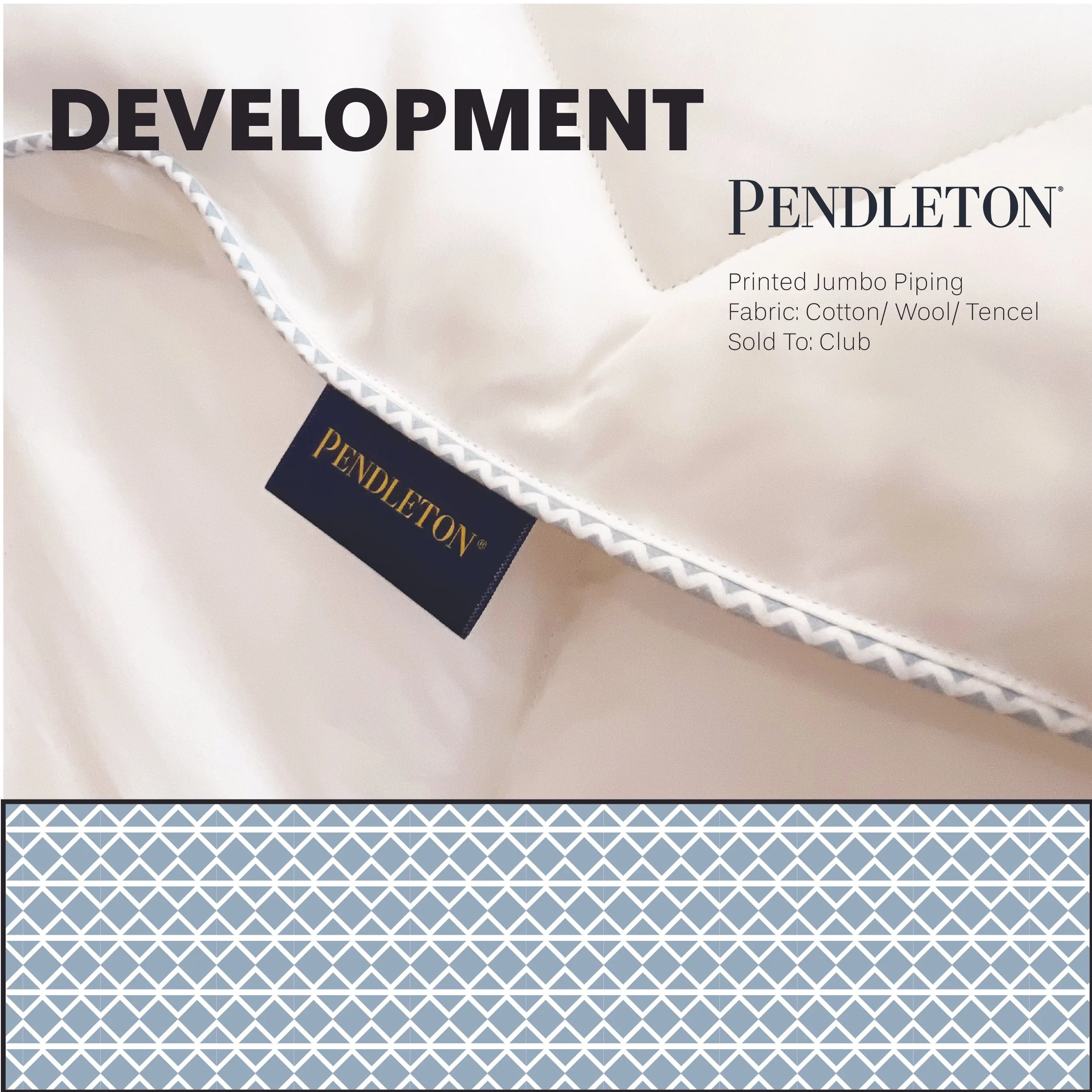 Portfolio Pages_Development Printed Piping.jpg