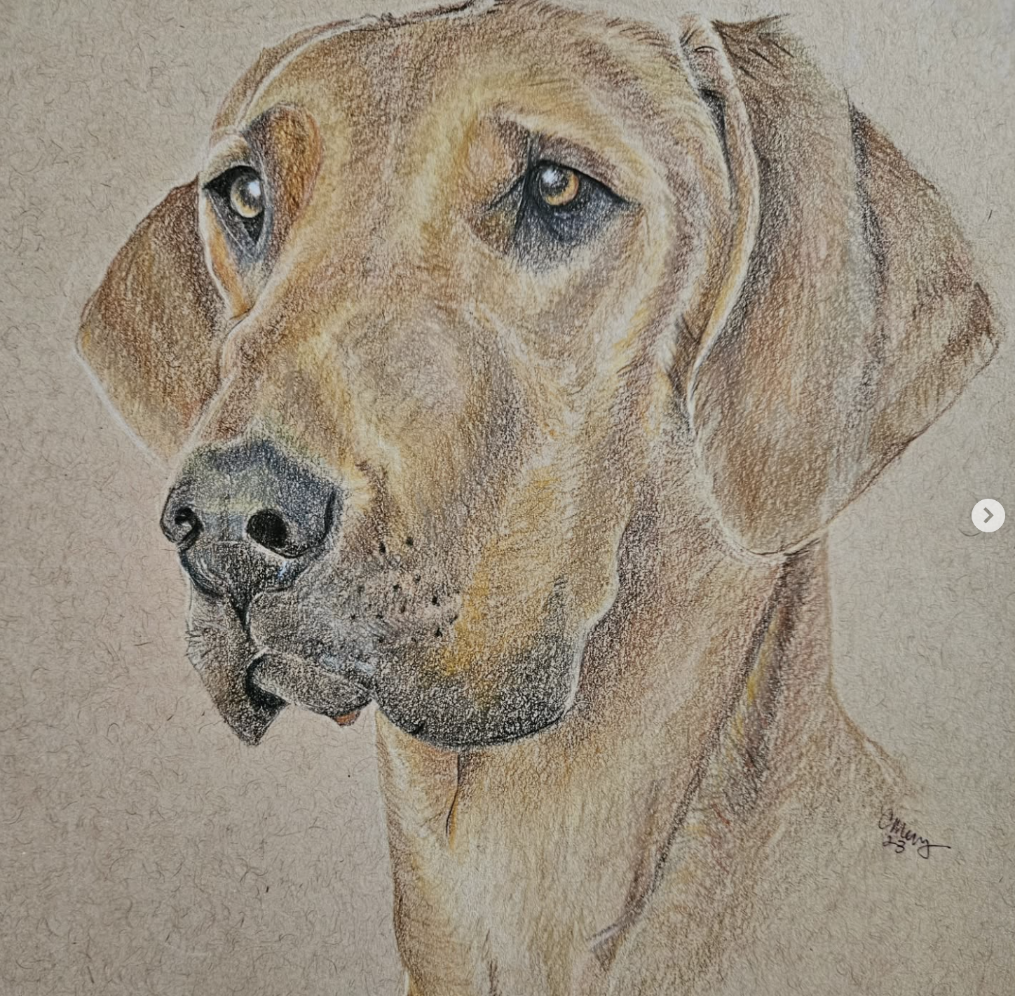 Colored Pencil on Recycled Paper