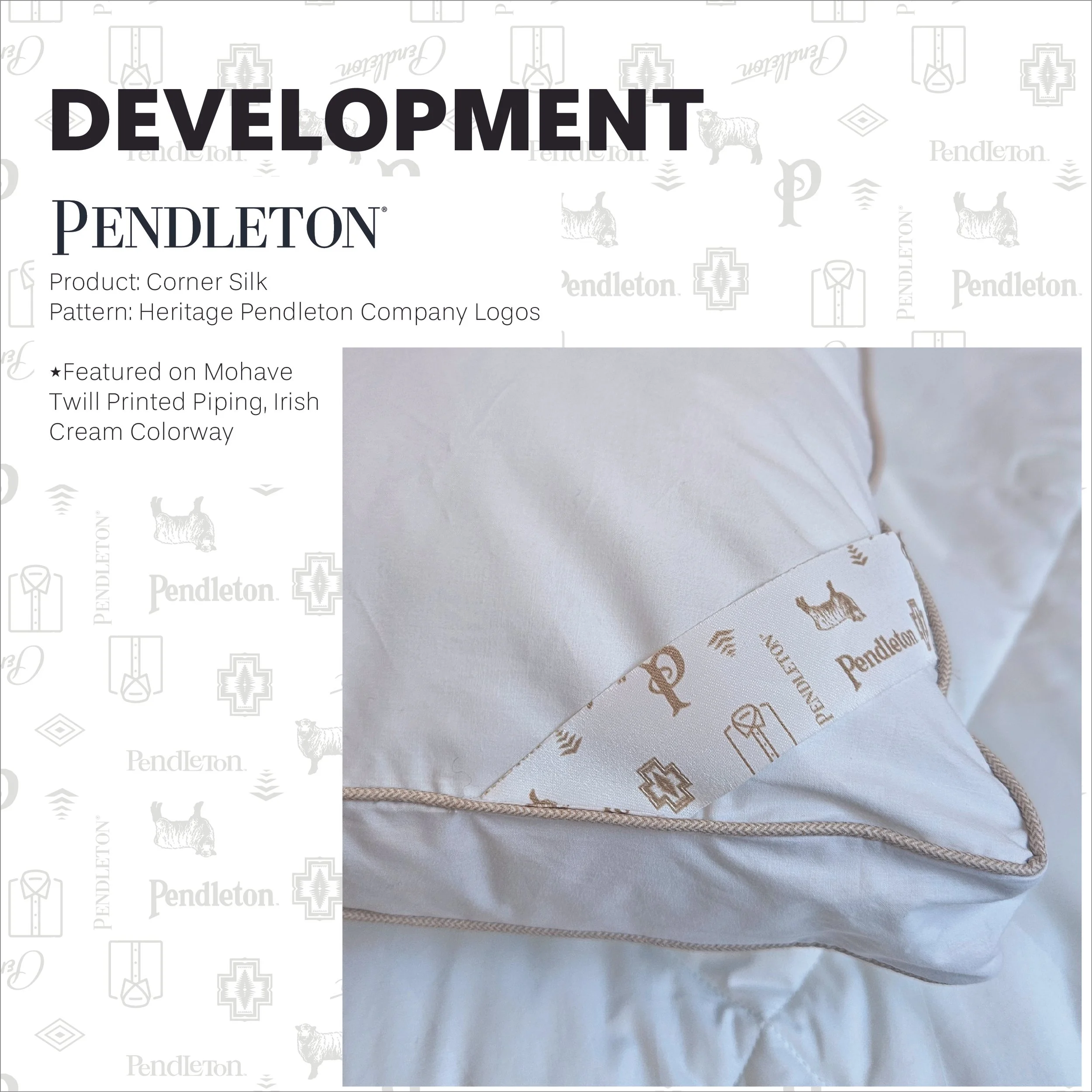 Portfolio Pages_Development Corner Silk.jpg