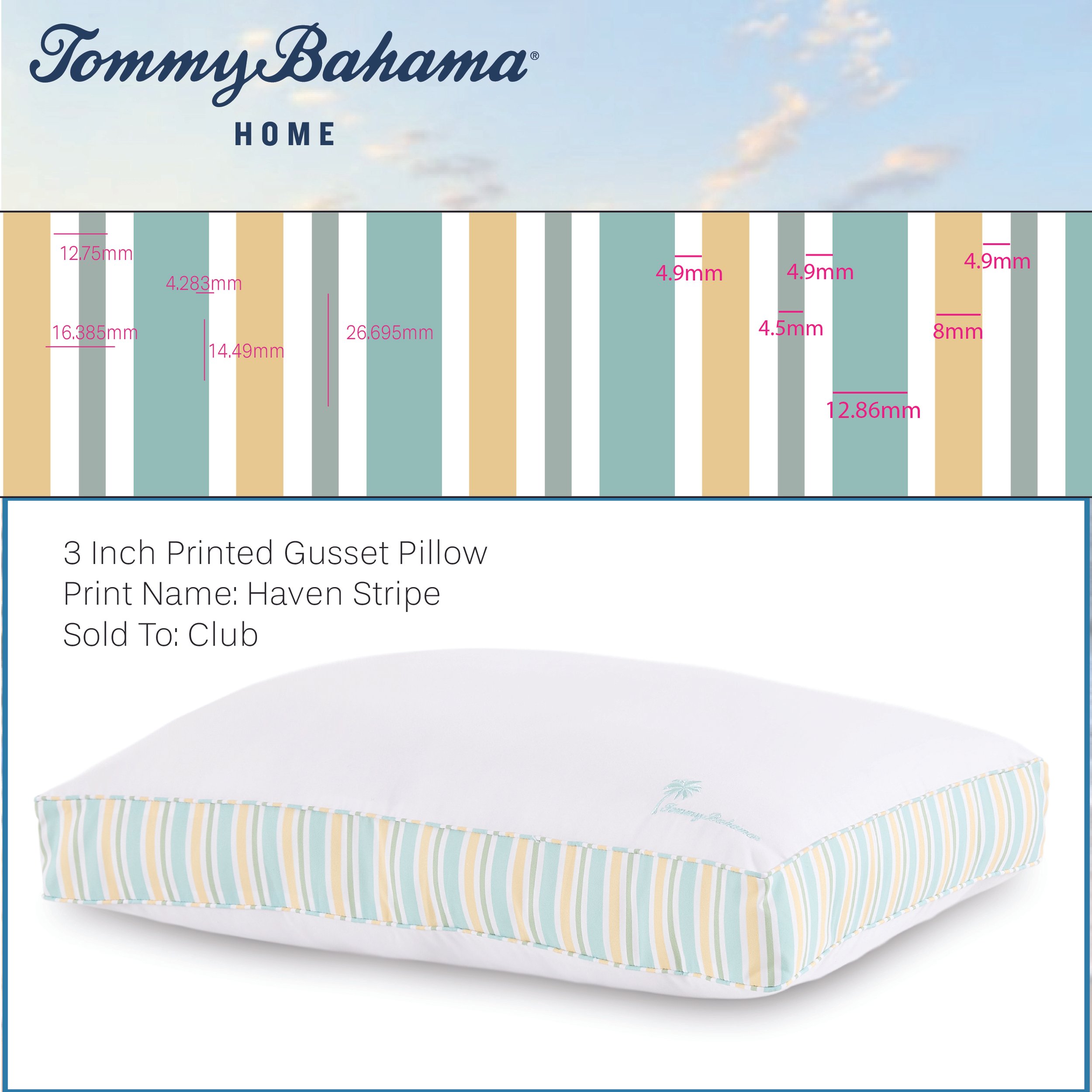 Portfolio Pages_TB Haven Stripe Colossal PI.jpg