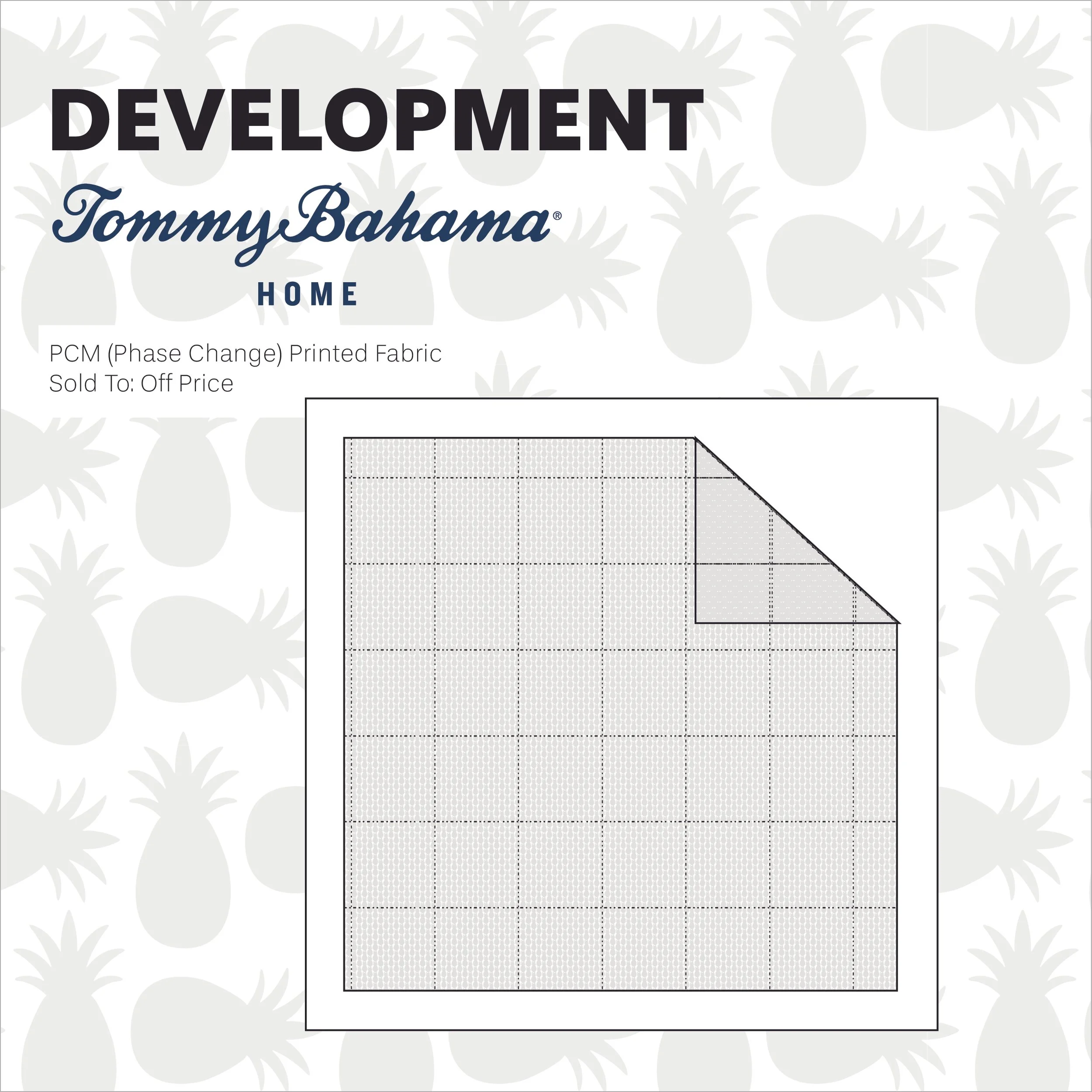 Portfolio Pages_Development PCM.jpg