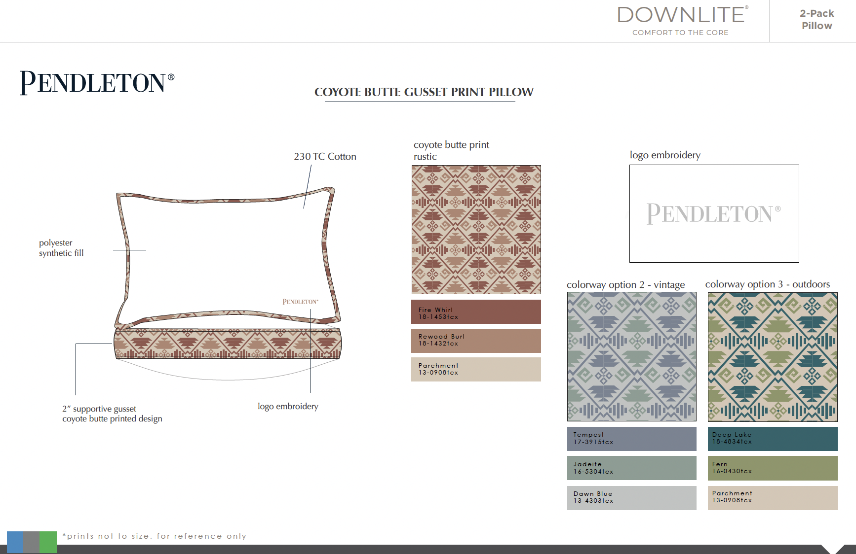 Club Presentation: Pendleton Coyote Butte Print.