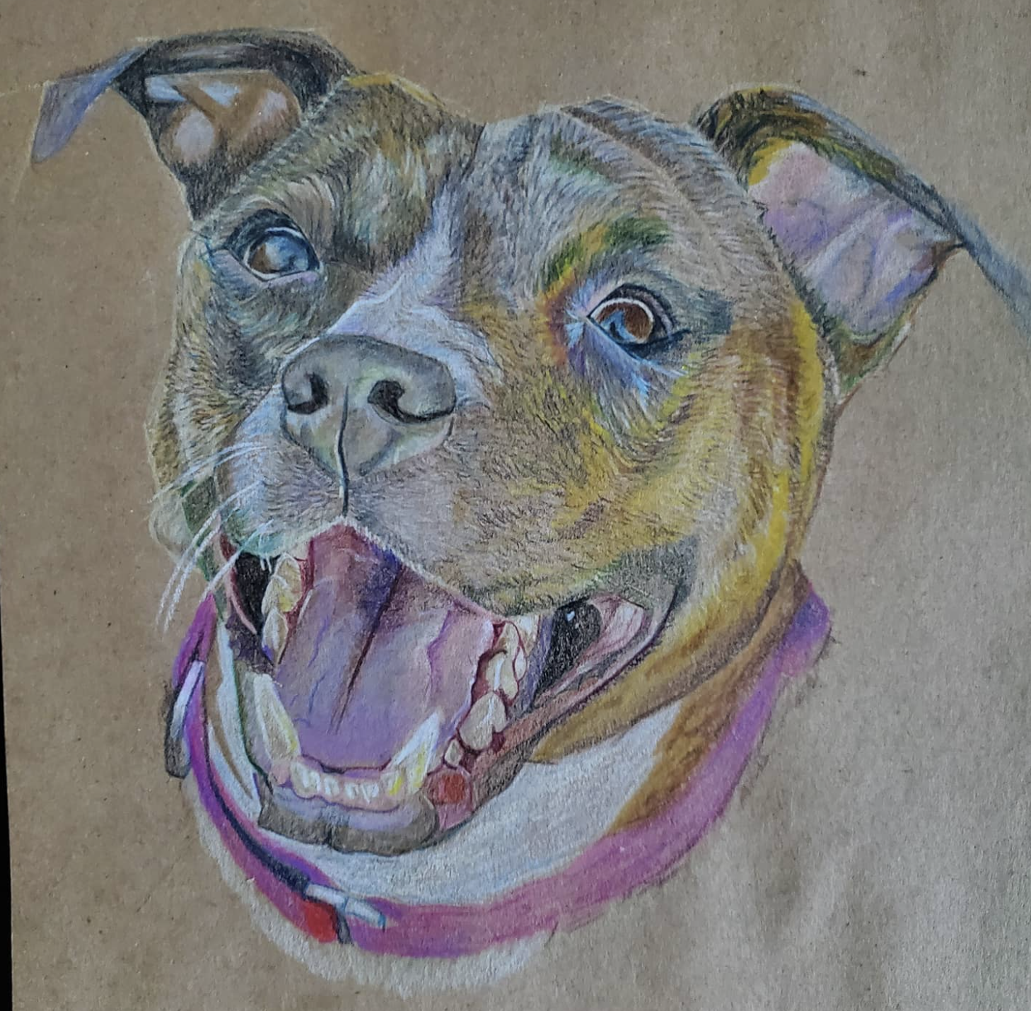 Colored Pencil on Recycled Paper
