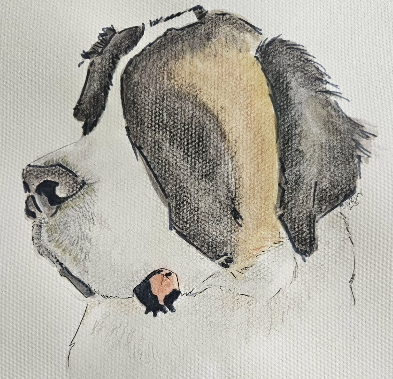 Watercolor Paint, Colored Pencil and Ink on Watercolor Paper