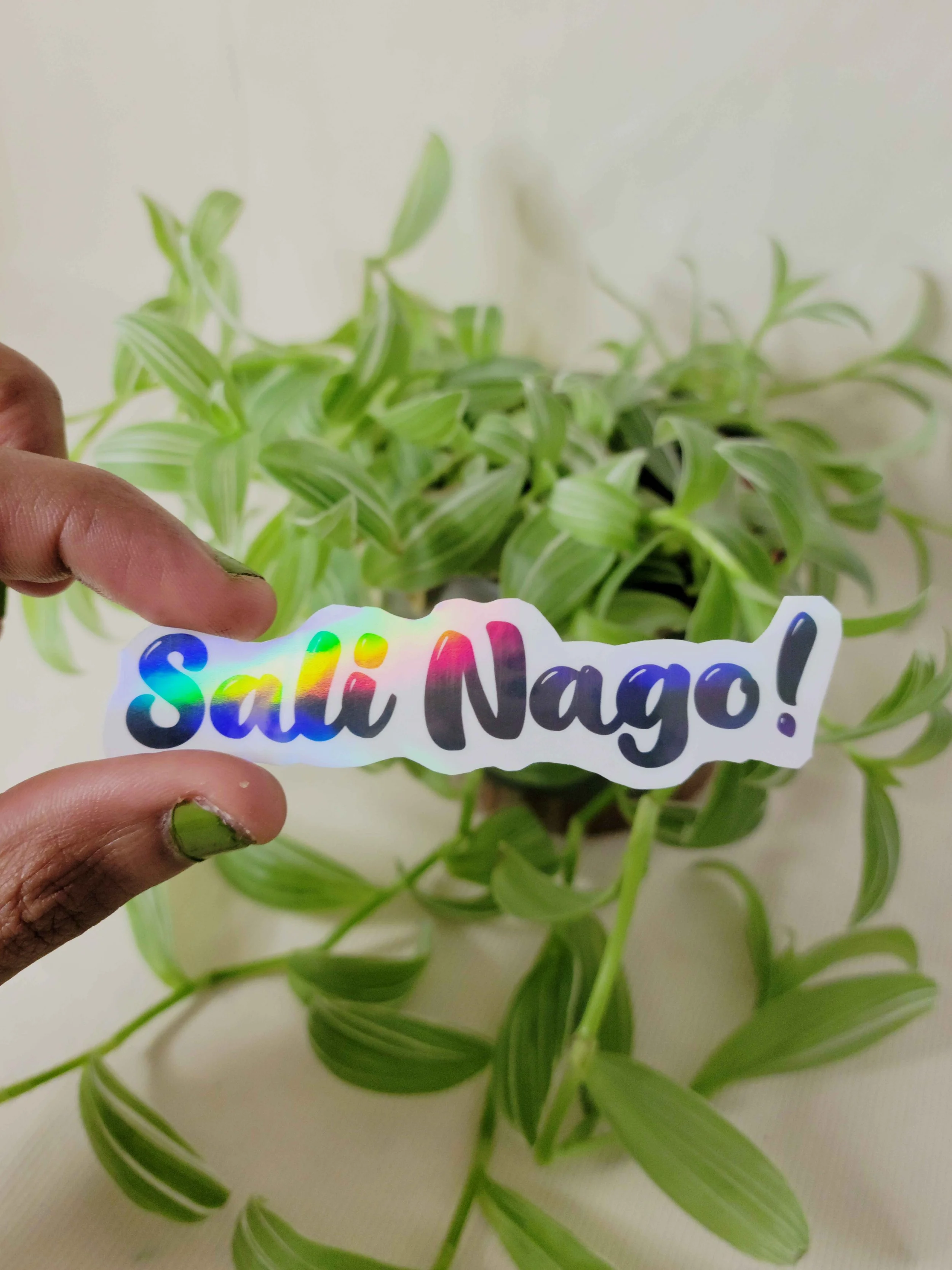 Sali nago in hand.jpg