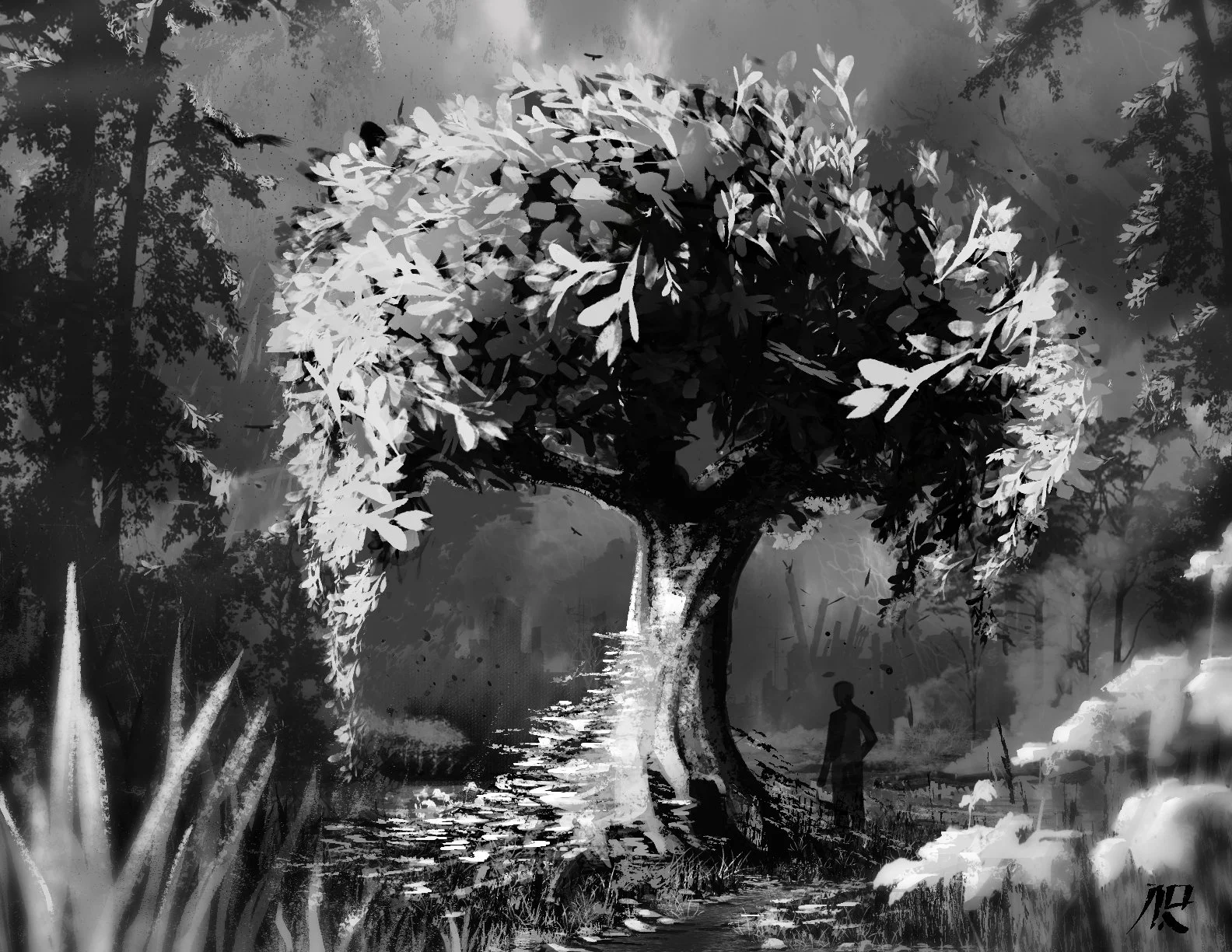 tree.jpg