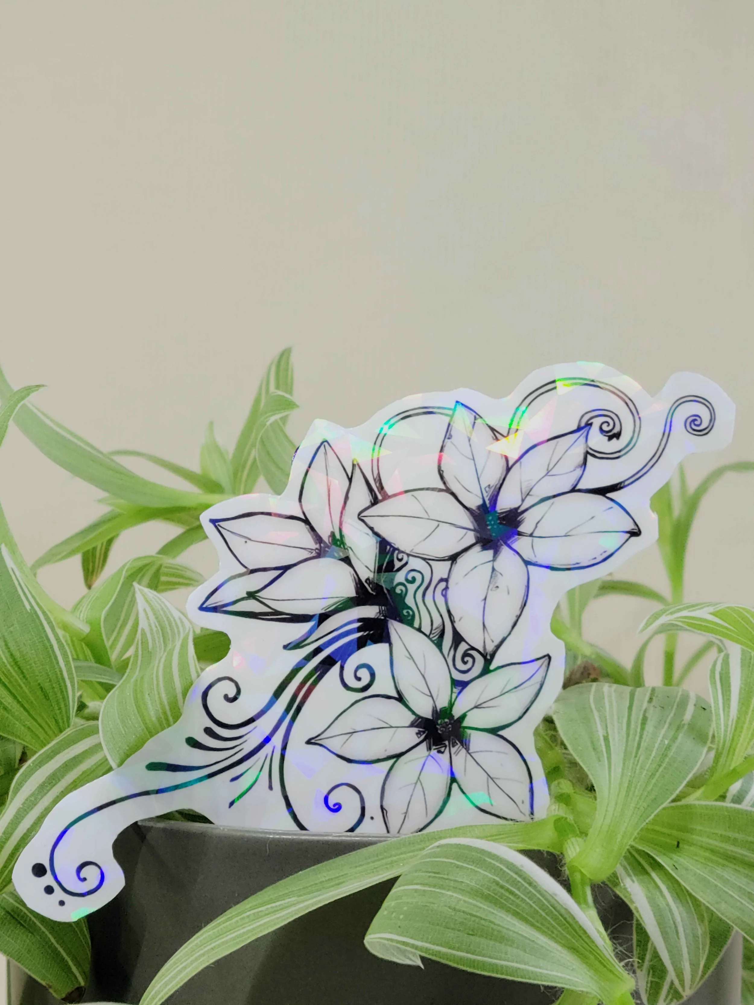 Nibo's heart in plant.jpg