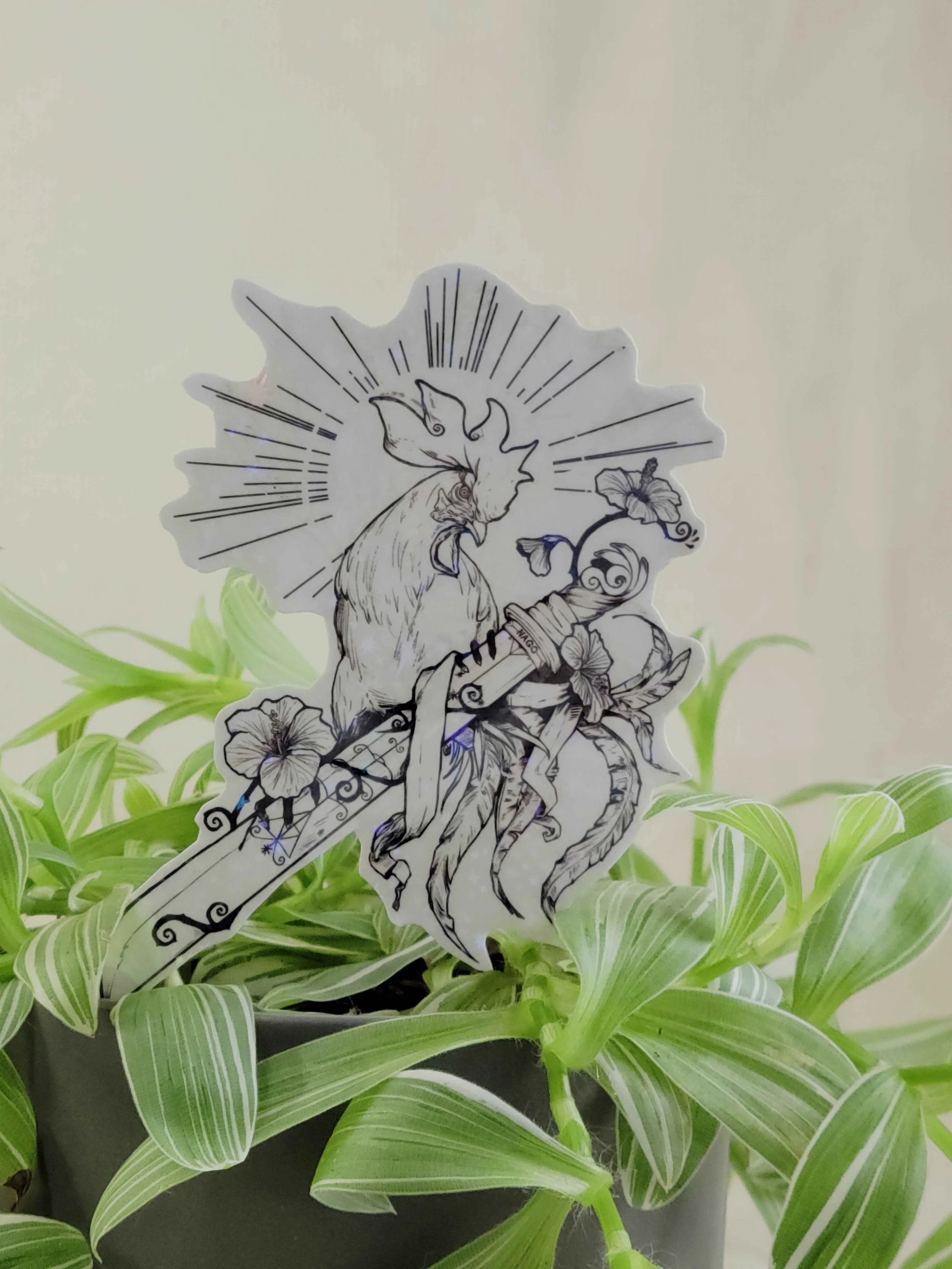 Kok kalite in plant.jpg