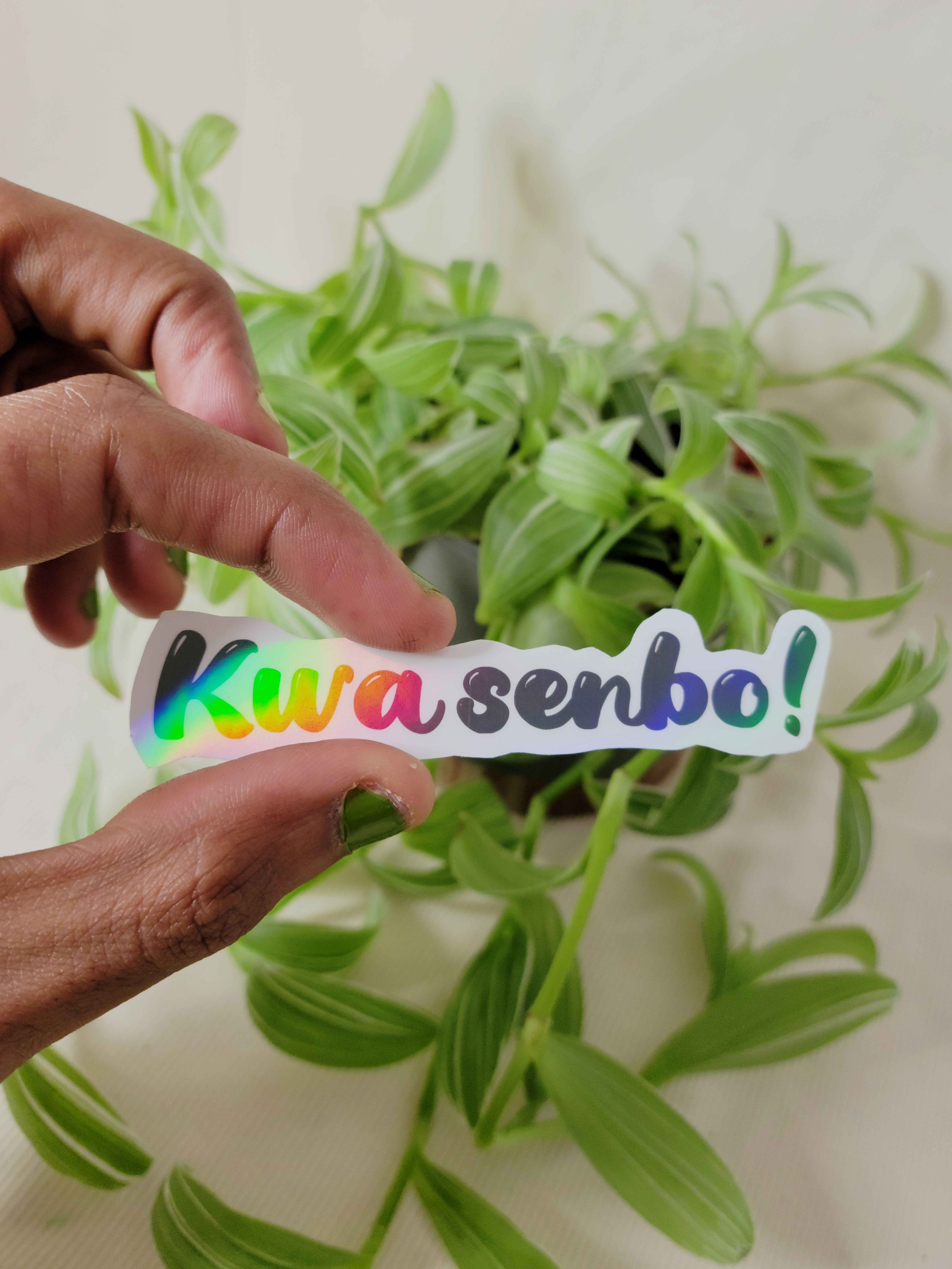 Kwa senbo in hand.jpg