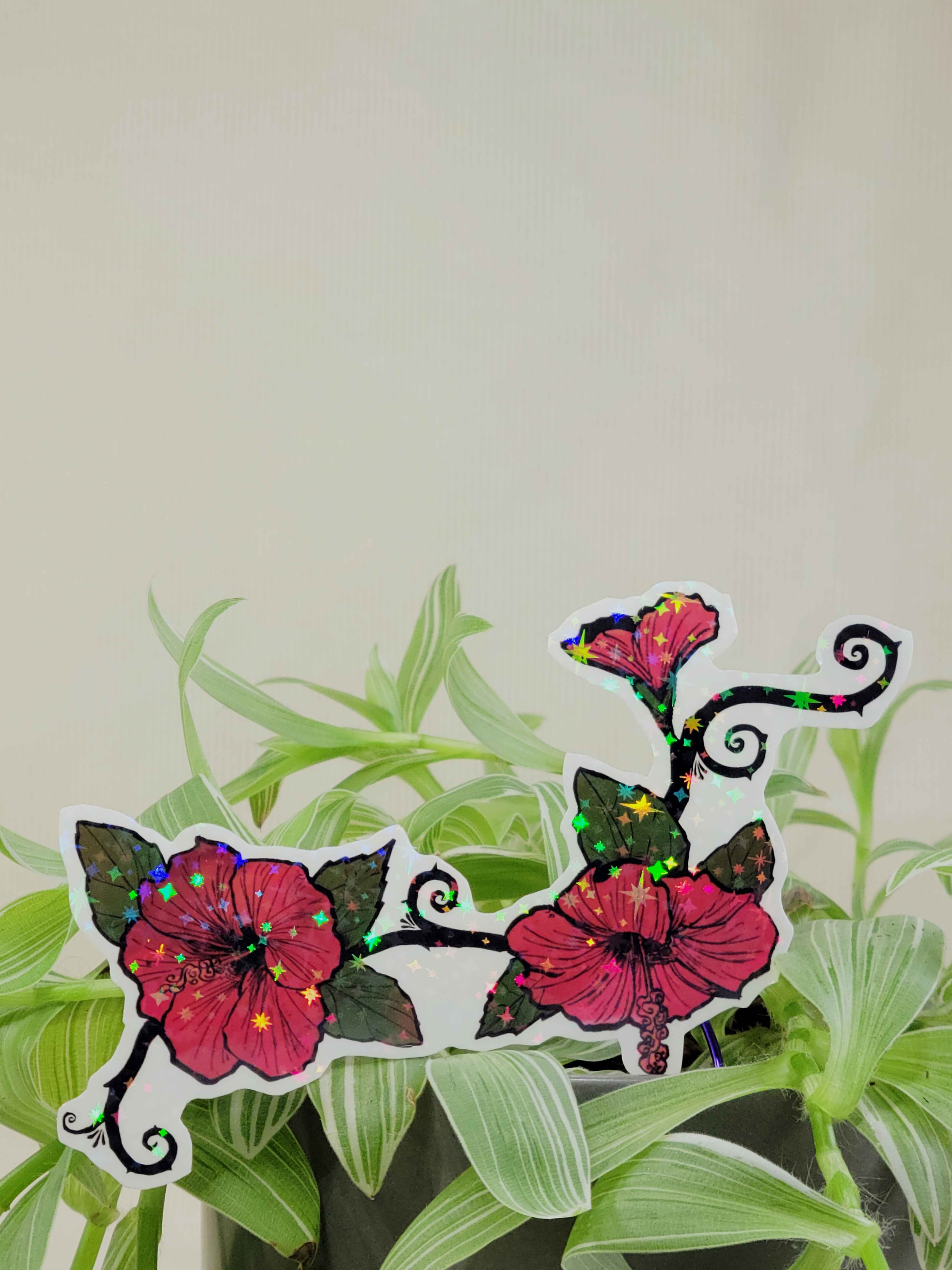 Hibiscus branch in plant.jpg