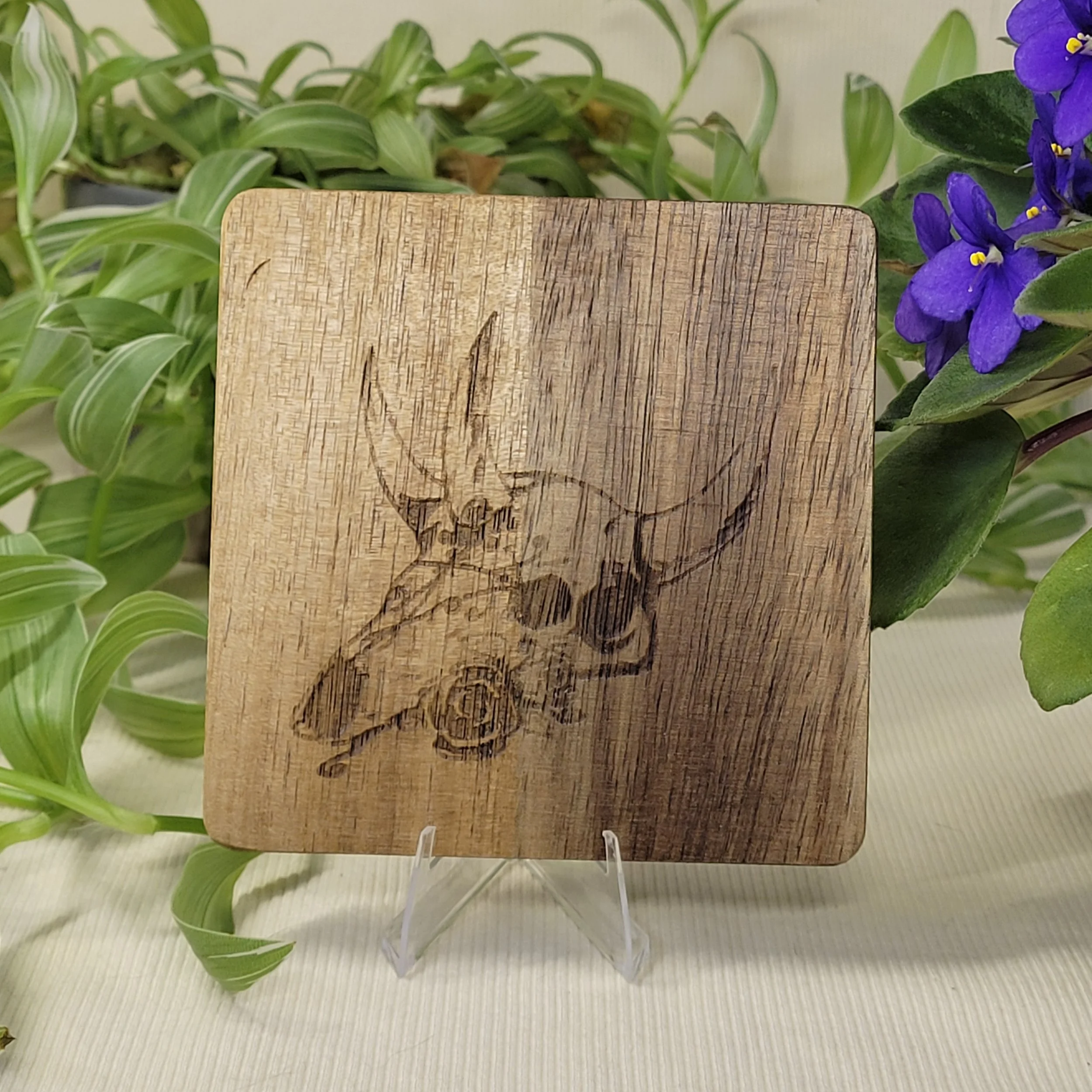 Bosou in the desert coaster