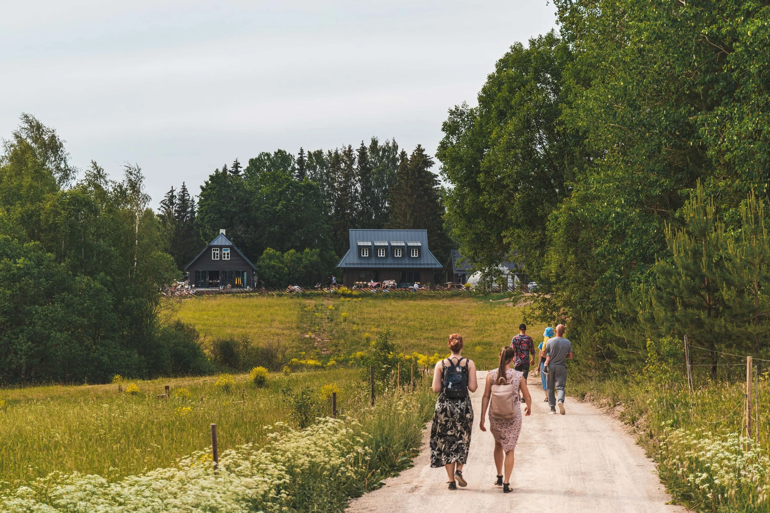 20230617_Nima Sarabi_IMG_3611.jpg