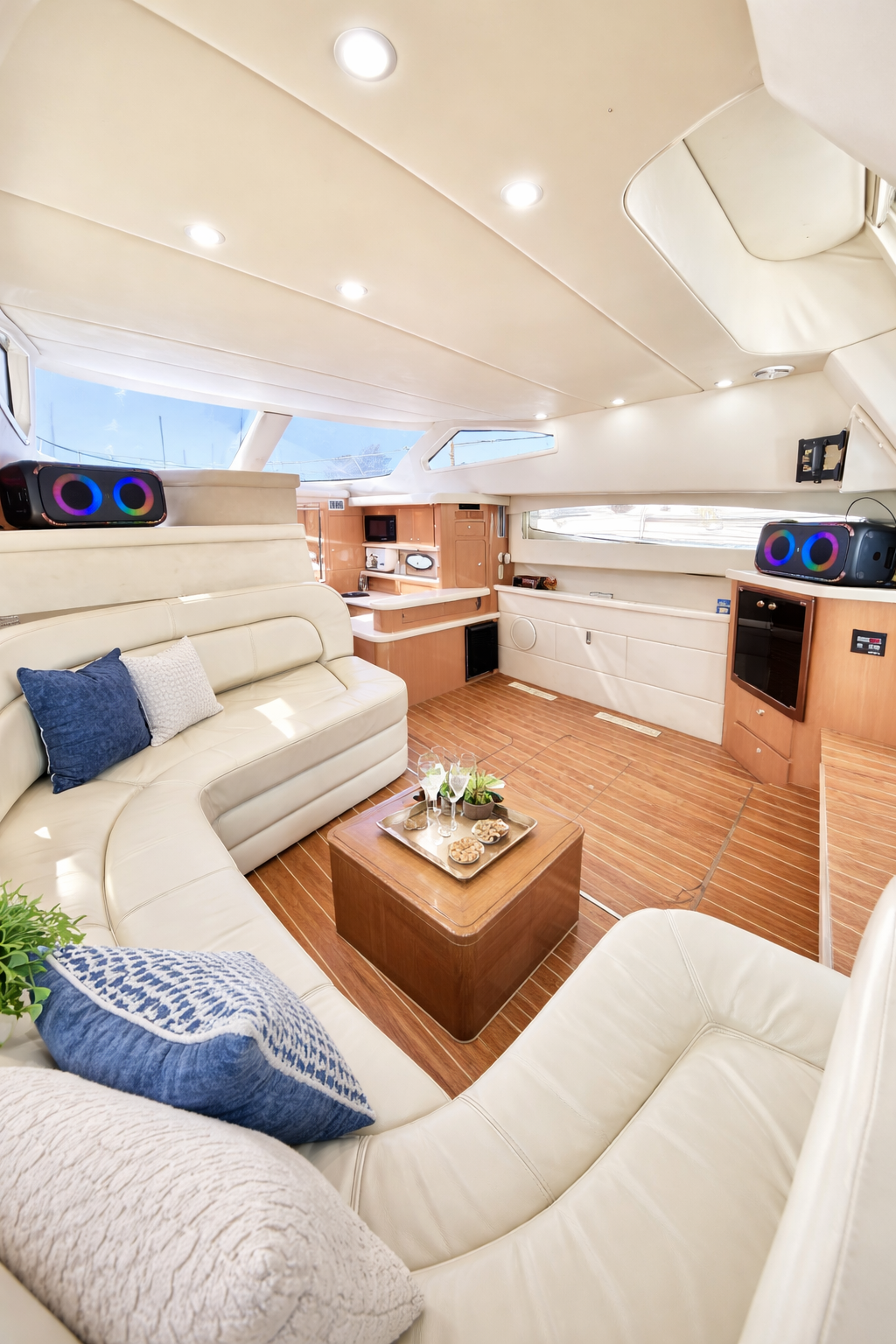 toronto-yacht-charter-interior-salon-luxury-seating-450-carver-modern-galley.jpg