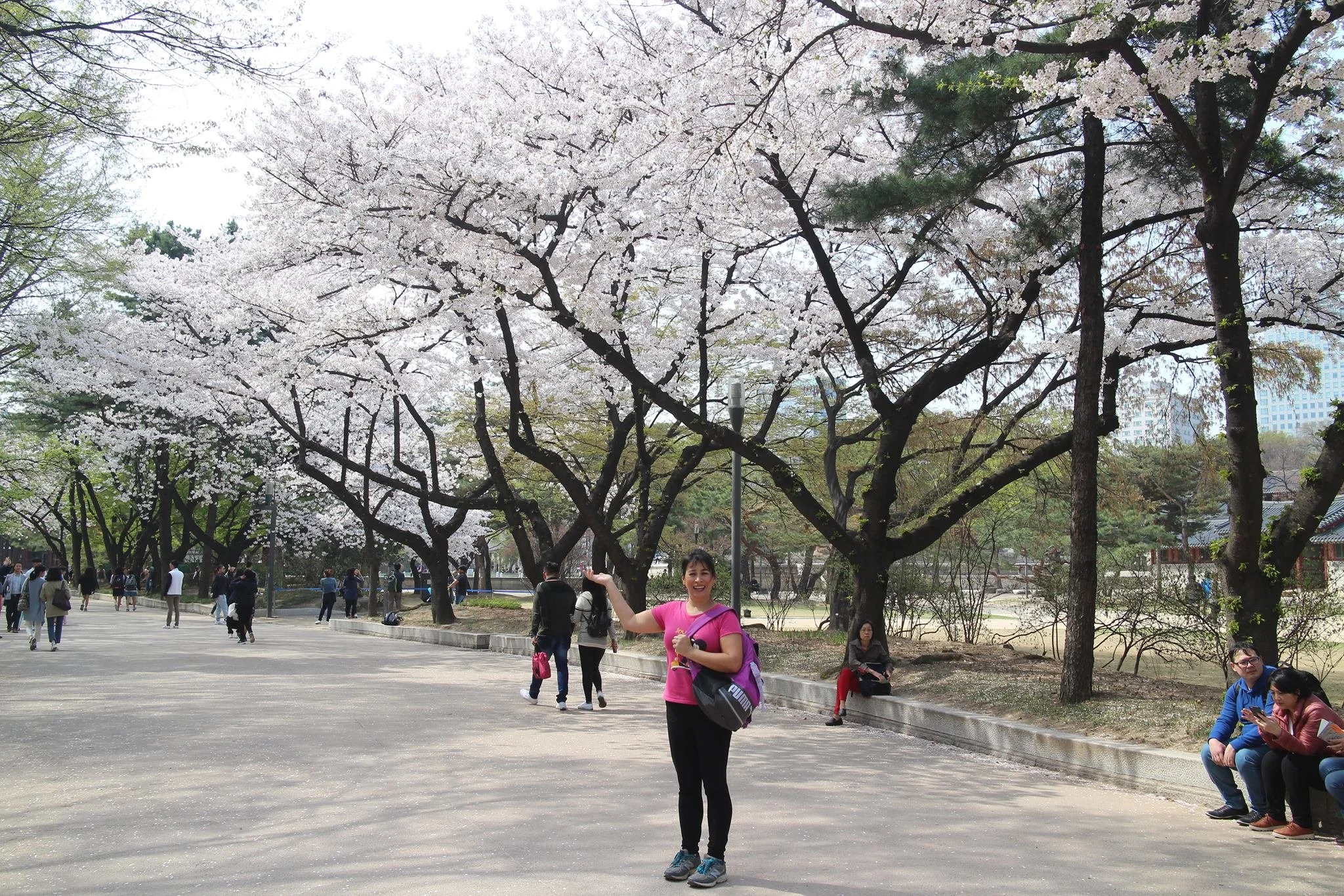 south korea jun 17.jpg