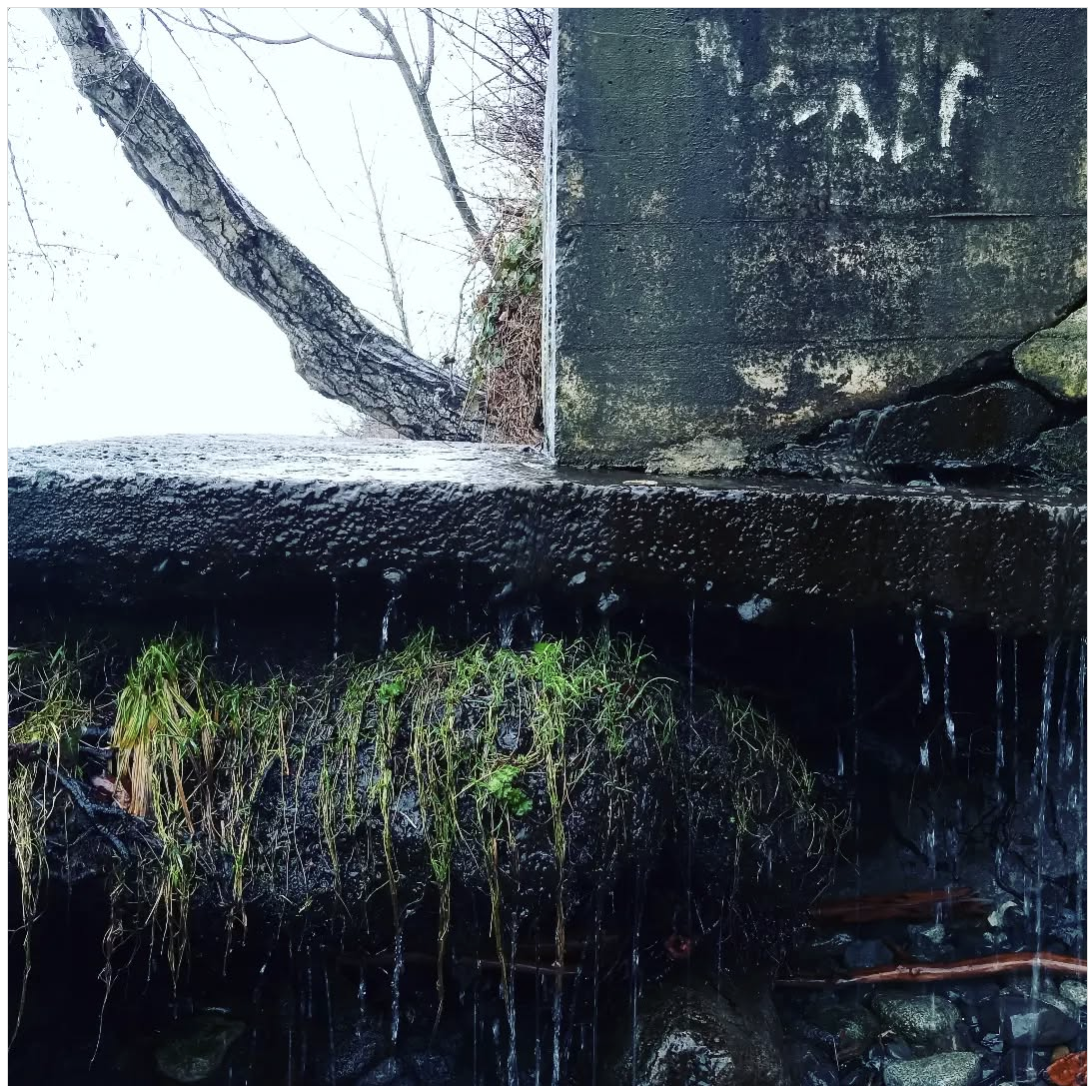 Screenshot 2025-10-16 at 11.01.48 AM.png