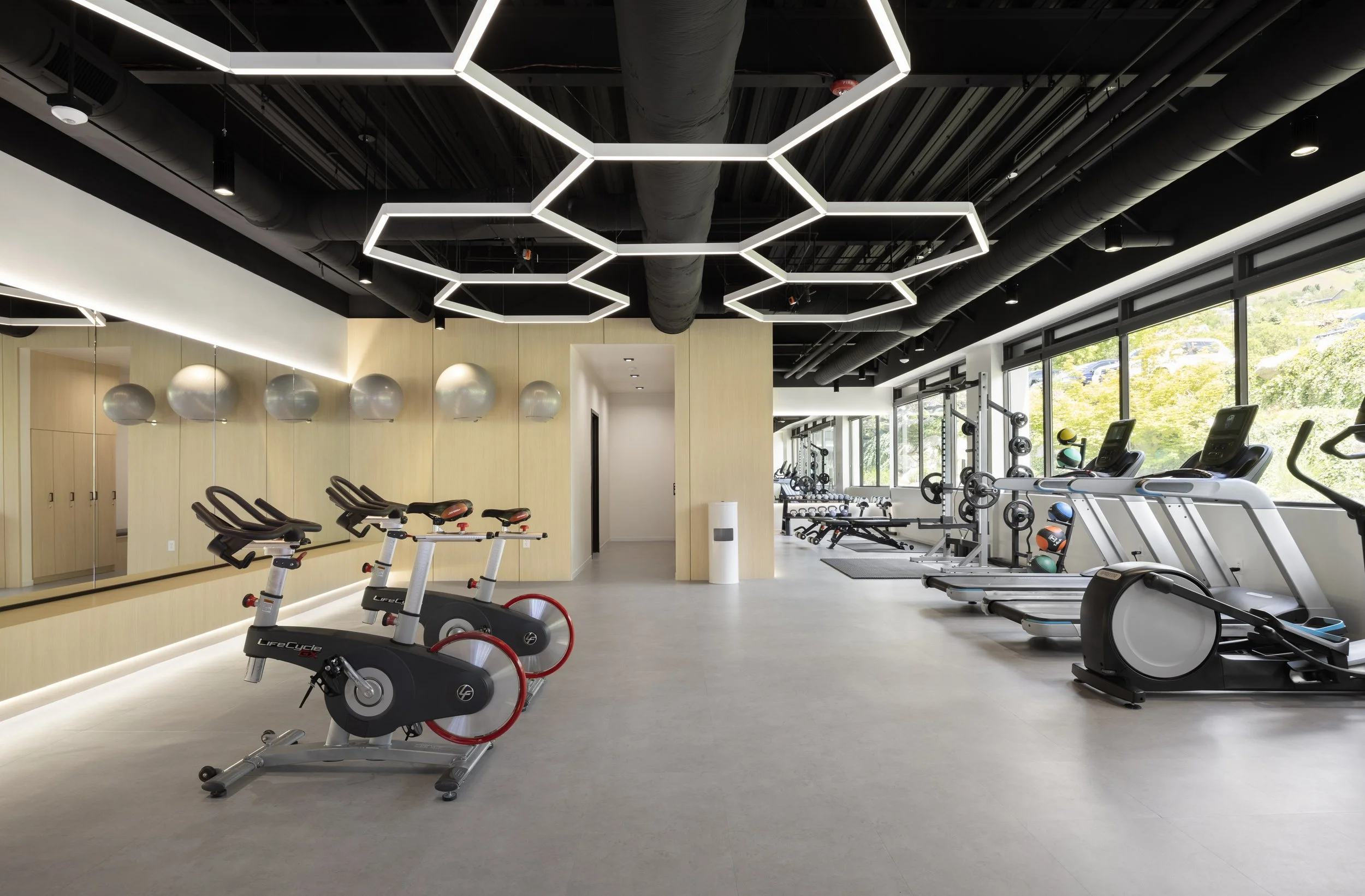 Cottonwood Vibe Gym