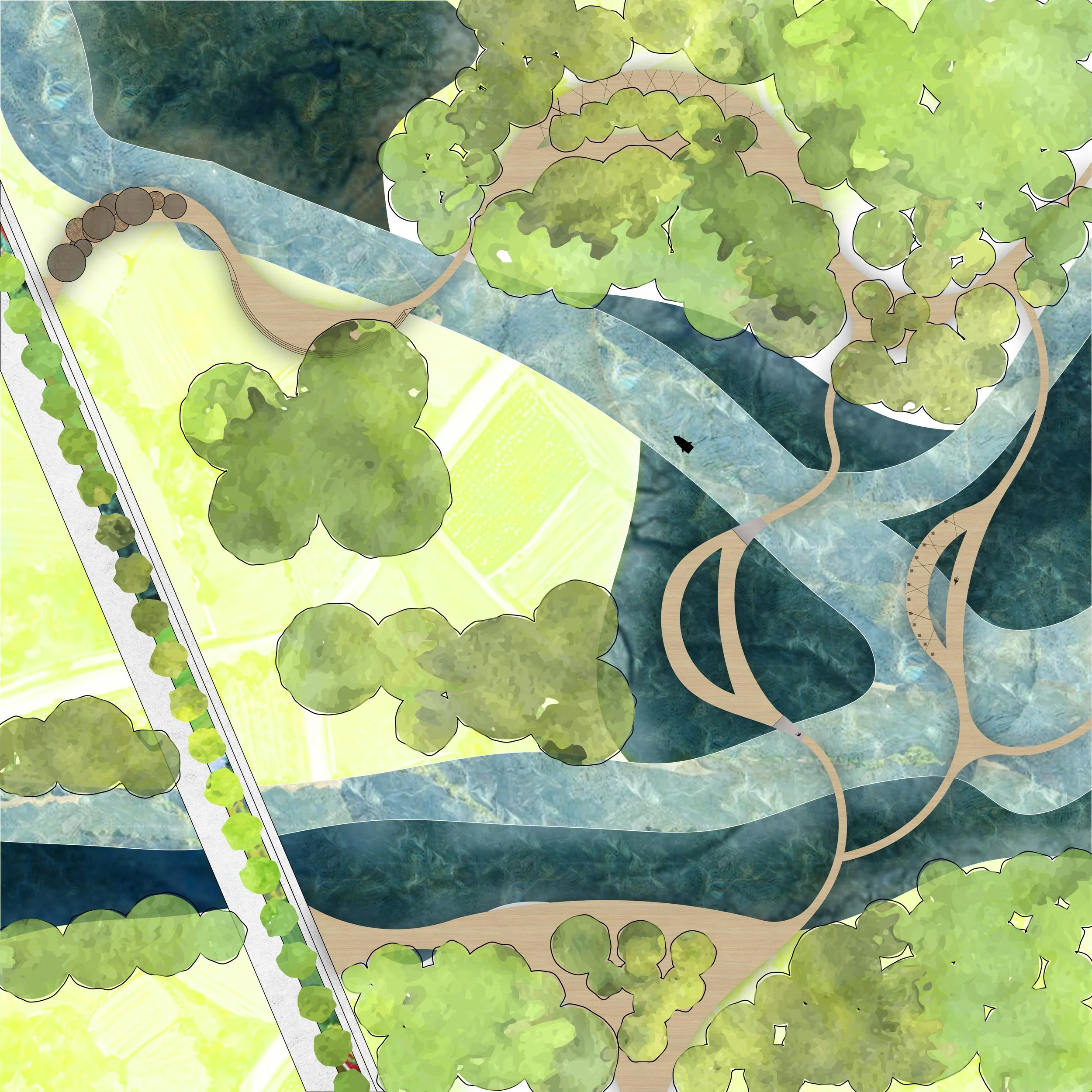 Essence & Senescence