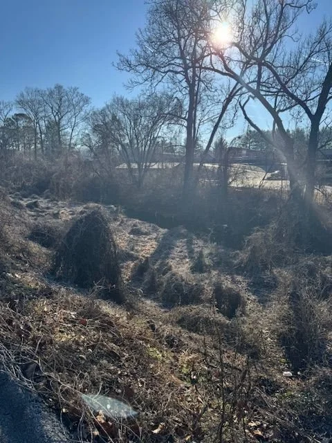 2025 North Knoxville