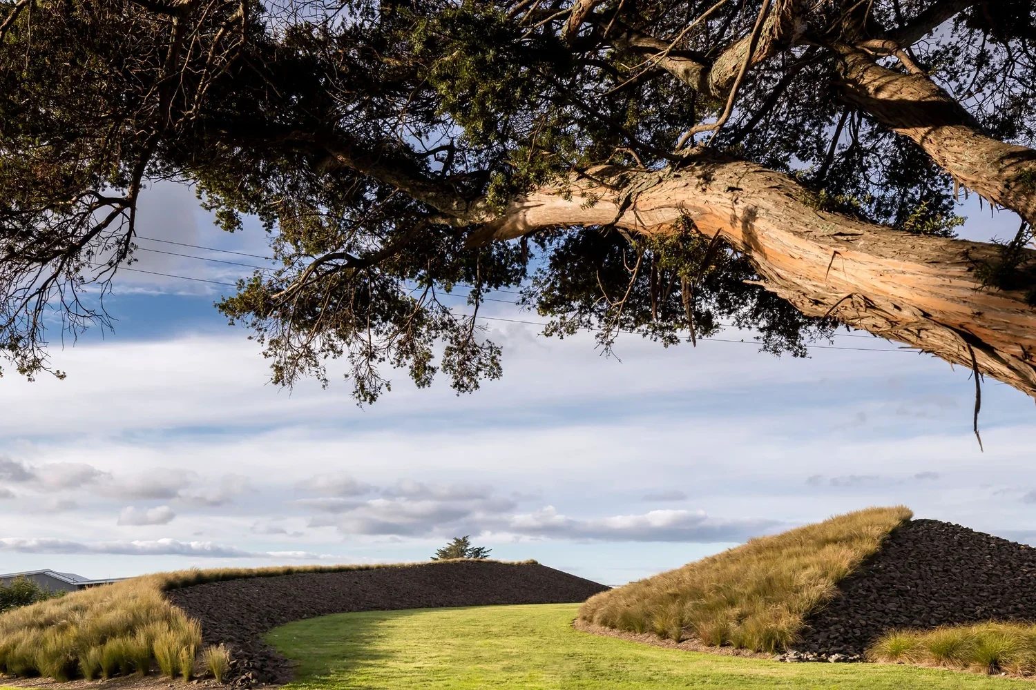 First Flight - Auckland International Airport