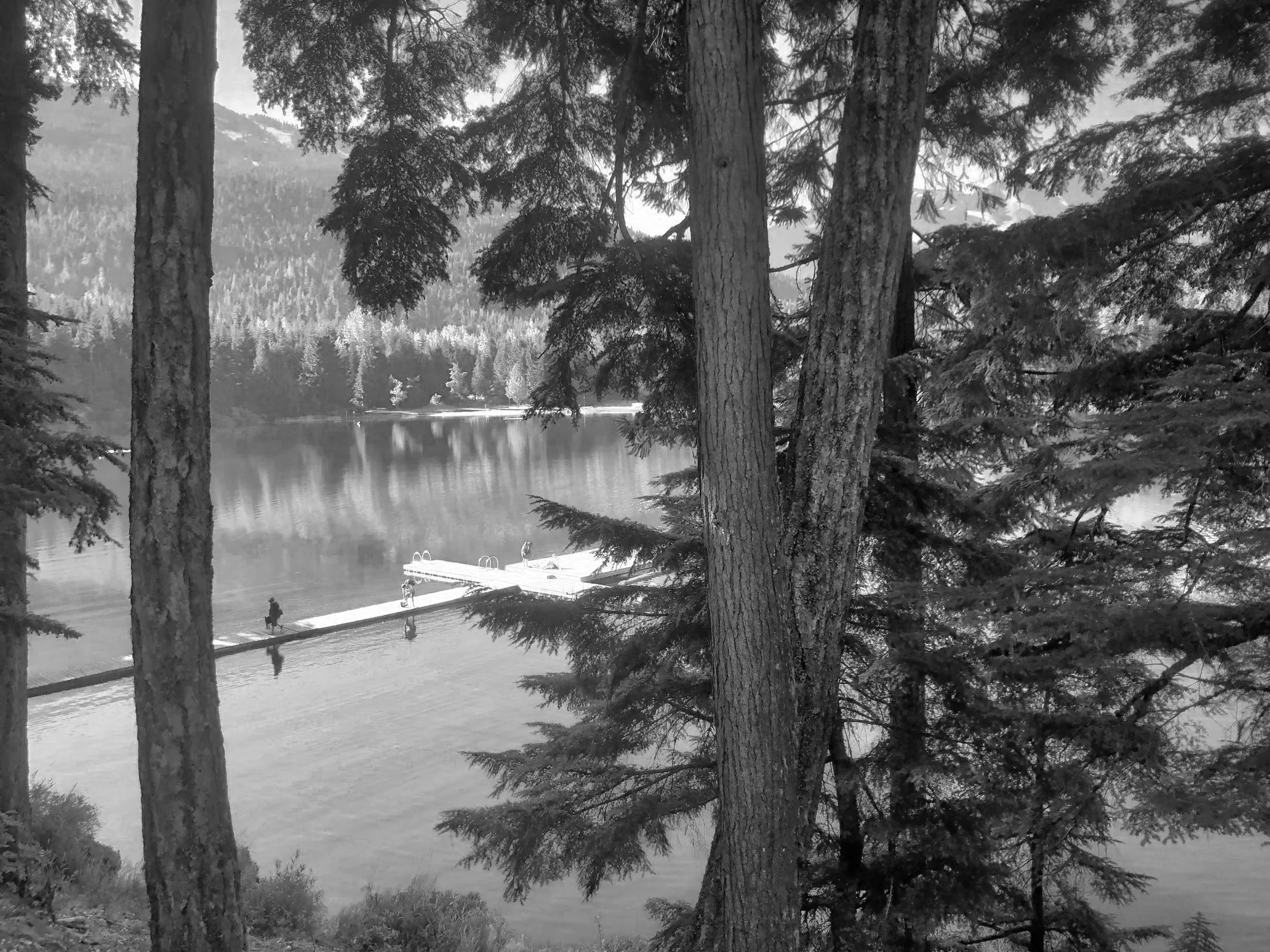 A black and white photo of lake, framed by tall trees with thick trunks in the foreground. The lake has a dock extending into the water with a few people on it, some walking and some sitting. The background shows a distant shoreline lined with trees.