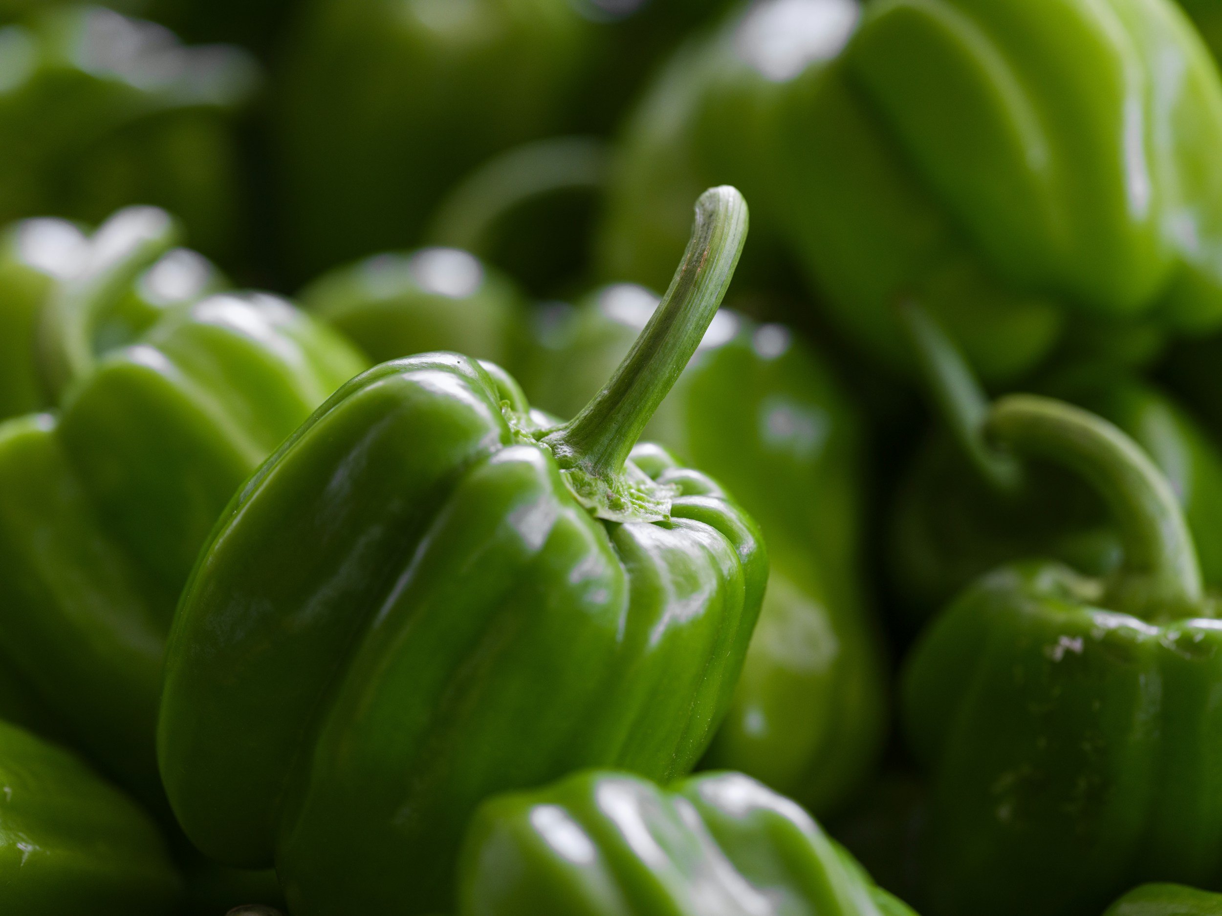 Close-up of a green bell pepper with shiny skin, surrounded by other green bell peppers.