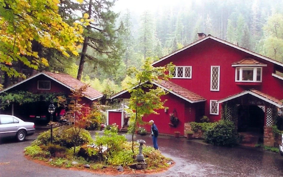 We used to have a home in the forest