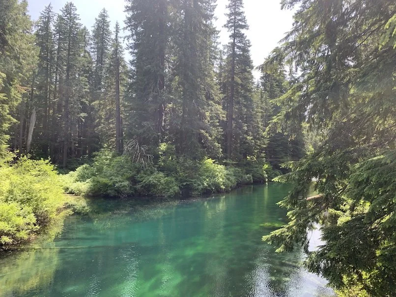 Making room for climate grief