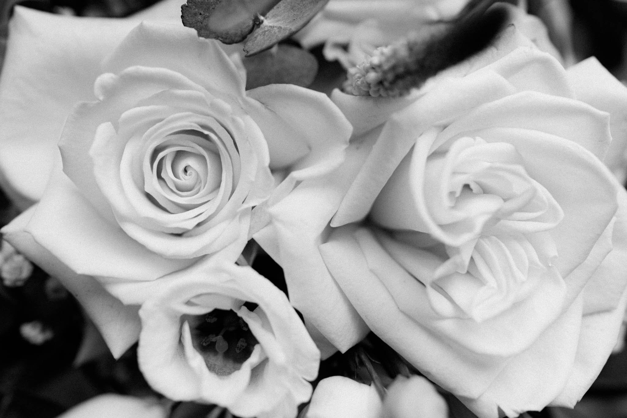 Schwarz-weiße Nahaufnahme von Rosen und anderen Blumen in einem Bouquet.