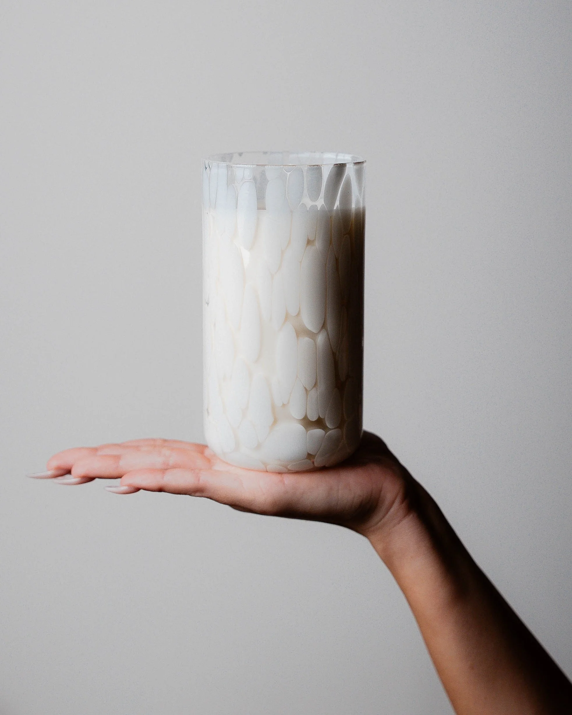 The Classic Tortoise