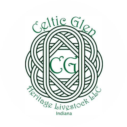 Celtic Glen Heritage Livestock - Spencer, IN