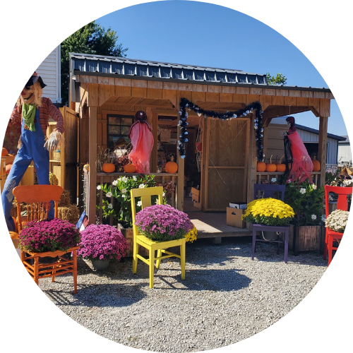 Egg Drop Inn - LaFayette, IN