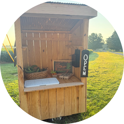 Paradise Acres Family Farm - Martinsville, IN (no socials)