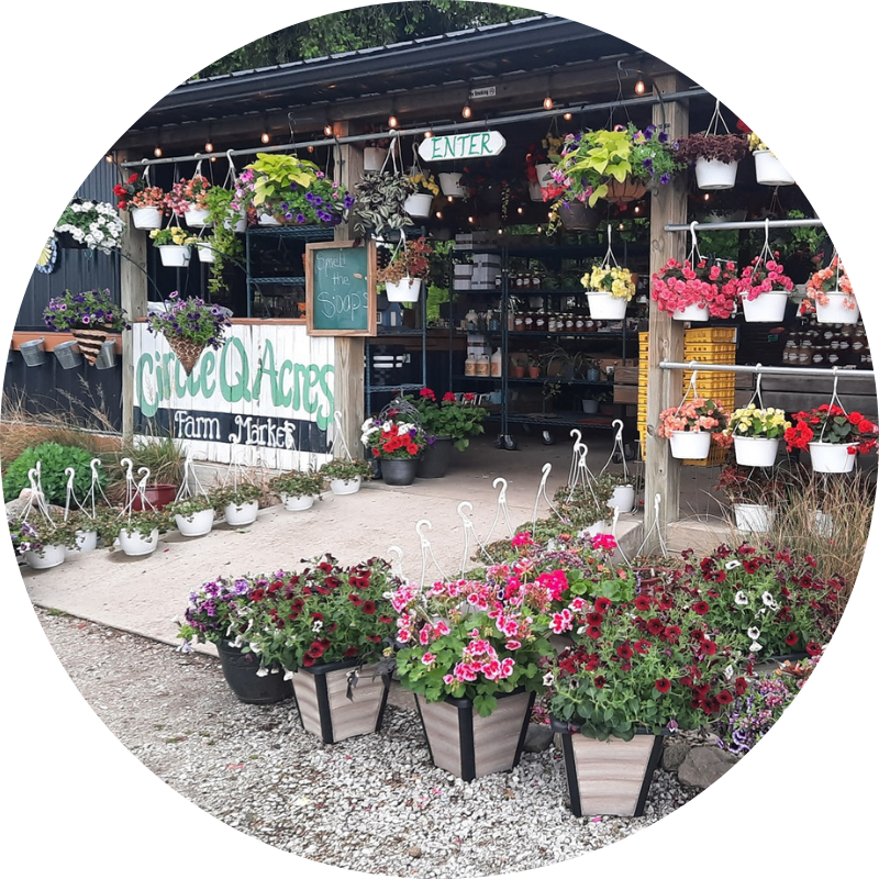 Circle Q Acres Farm Market - Wolcottville, IN