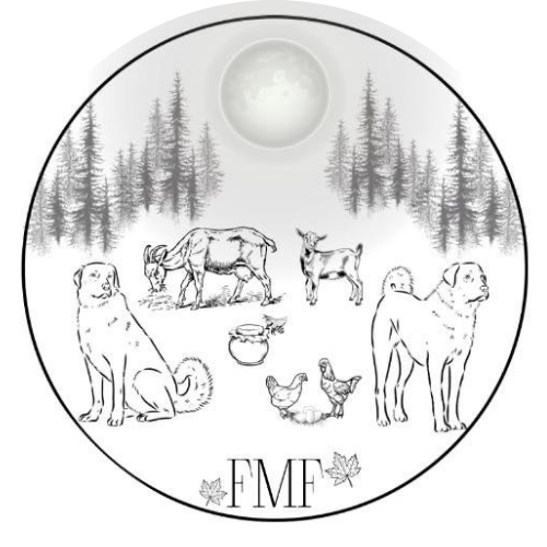 Foggy Moon Forest Homestead - Brazil, IN