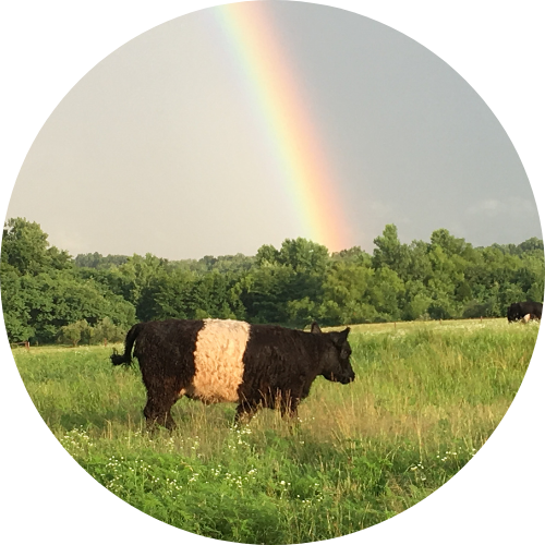 Windy Meadow Farms / Fuzzy Cow Florals - Lynnville, IN