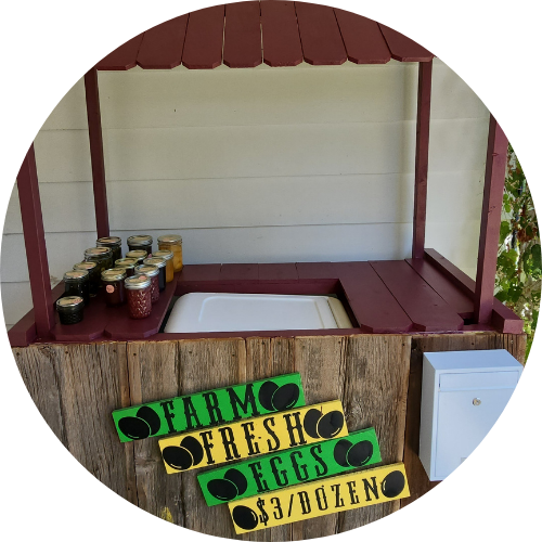 Raining Delight quilt shop and home goods - Hamilton, IN