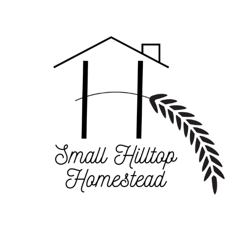 Small Hilltop Homestead - Springport, IN