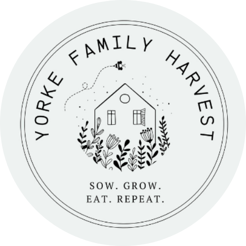 Yorke Family Harvest - Albion, IN